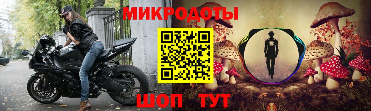Псилоцибиновые грибы ЛСД  Вход с VPN  Каменка  Псилоцибиновые грибы GOLDEN TEACHER 