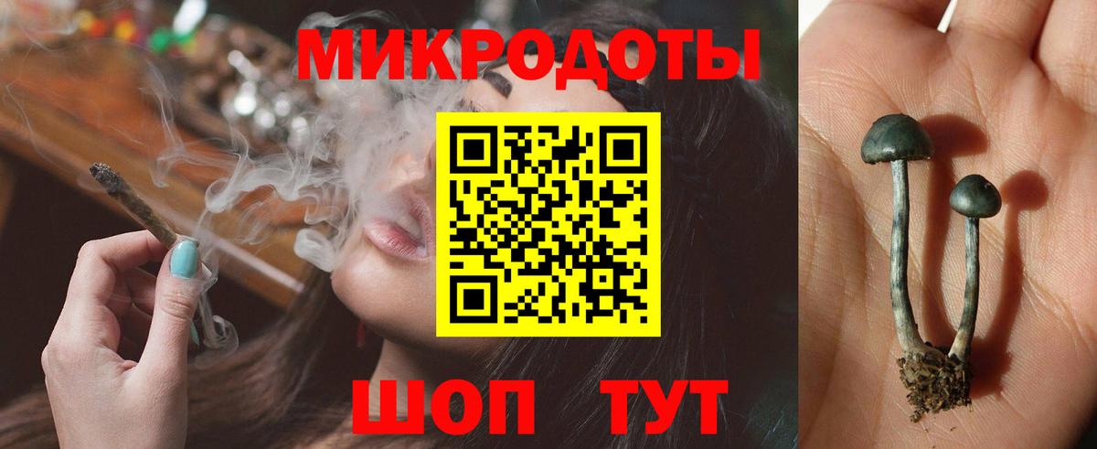 Галлюциногенные грибы Magic Shrooms Каменка